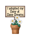 Click here to adopt your Daisy at Daisy Dreams.