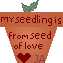 Click here to adopt your Baby Seedling at Graphics by Mystic.